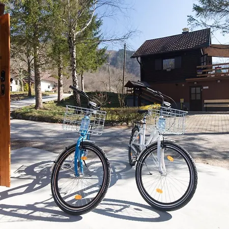 Holiday home Rozi, - Pr' Rozi Osilnica