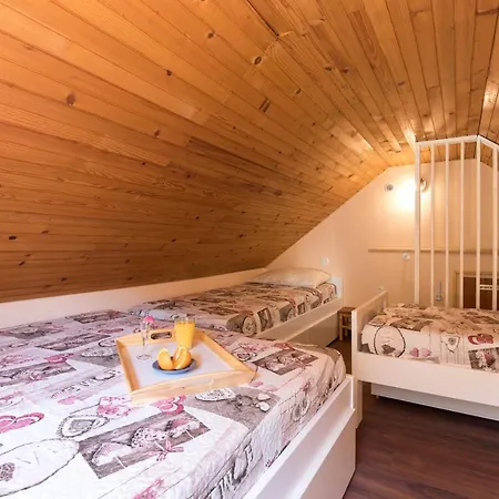 Holiday home Rozi, - Pr' Rozi Osilnica