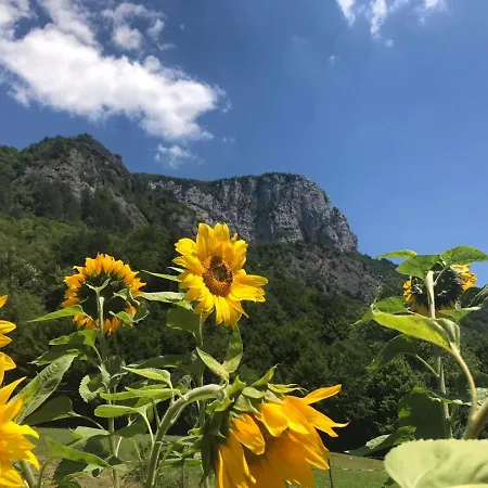 Rozi, - Pr' Rozi Osilnica