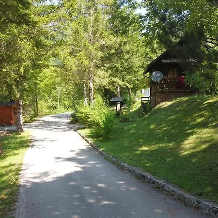 Rozi, - Pr' Rozi Holiday home Osilnica