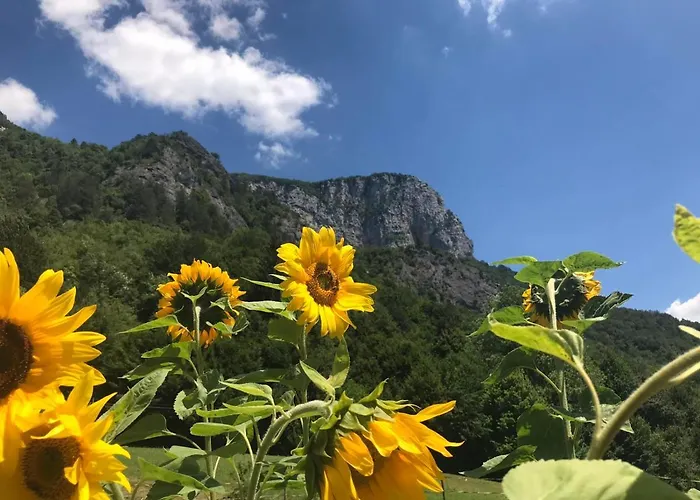 Rozi, - Pr' Rozi 奥斯尼卡